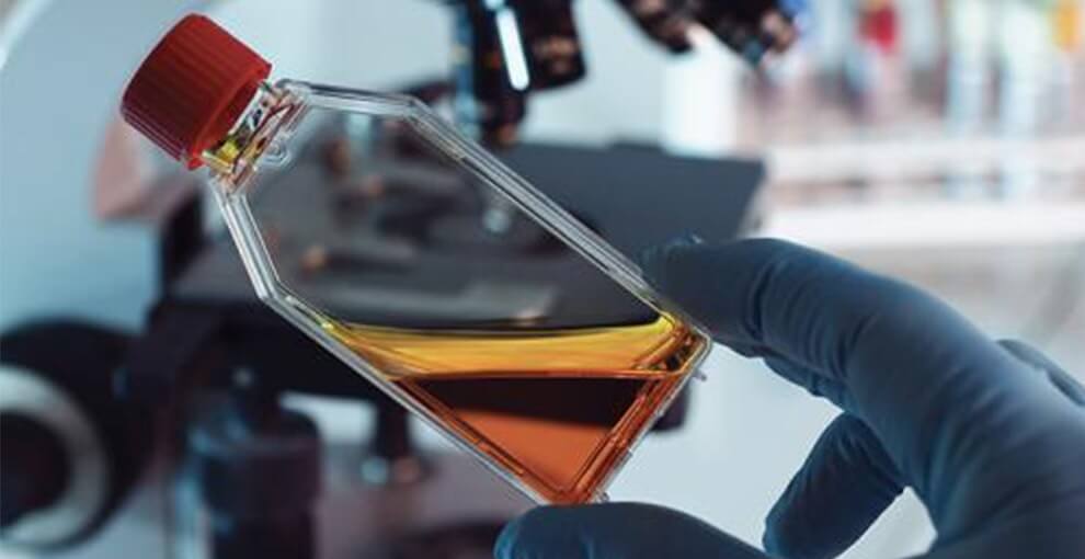 Cell Culture & Analysis